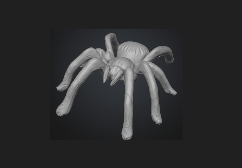 3D render preview of a detailed spider model inside a 3D printing slicer software.